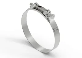 opaska-zaciskowa-gbs-29-31-obejma-w2-stal-nierdzewna-szerkosc-20mm-tege