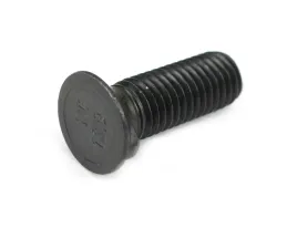 sruba-pluzna-dwunoskowa-m10x30-mm-kl-10-9-zastosowanie-gruber-warynski-sp