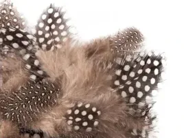 piorka-przepiorcze-5-12-cm-5-g-cepi-104-dp-craft