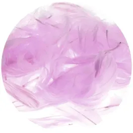 piorka-rozowe-op-7-g-p7-15-brewis