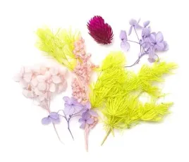 kwiaty-suszone-dekoracyjne-dpza-146
