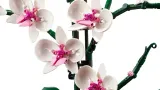 lego-creator-expert-10311-orchidea-wiek-dziecka-18-lat