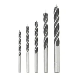 zestaw-wiertel-do-drewna-parkside-4-5-6-8-10-5-szt