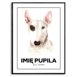 plakat-obraz-duzy-70x50cm-bull-terrier-rysunek-psa-prezent-imie-kreator