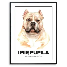 plakat-duzy-140x100-cm-bulldog-amerykanski-pies-rysunek-imie-psa-kreator