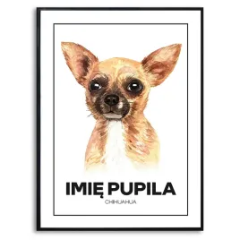 plakat-obraz-duzy-70x50cm-chihuahua-pies-rysunek-z-imieniem-prezent-kreator