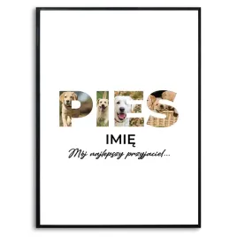 plakat-duzy-140x100-cm-pies-zdjecie-imie-cytat-dla-milosnika-psow-kreator