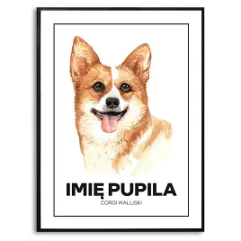 plakat-obraz-70x50-cm-pies-corgi-walijski-rysunek-psa-pupil-imie-kreator