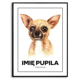plakat-duzy-140x100-cm-chihuahua-pies-rysunek-z-imieniem-prezent-kreator