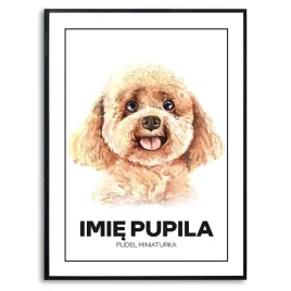 plakat-duzy-140x100-cm-pudel-miniaturka-miniaturowy-rysunek-imie-kreator