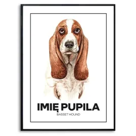 plakat-obraz-duzy-140x100cm-pies-basset-hound-rysuek-imie-pupila-kreator