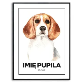 plakat-obraz-duzy-70x50cm-imie-pupila-beagle-pies-rysunek-prezent-kreator