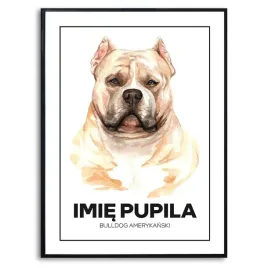 plakat-obraz-duzy-70x50cm-bulldog-amerykanski-pies-rysunek-imie-psa-kreator