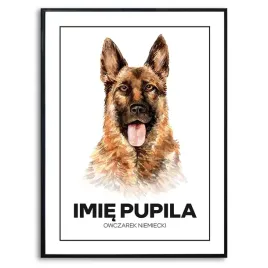 plakat-obraz-duzy-70x50cm-imie-psa-owczarek-niemiecki-rysunek-pupil-kreator
