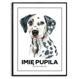 plakat-obraz-duzy-70x50cm-dla-pupila-dalmatynczyk-imie-psa-rysunek-kreator