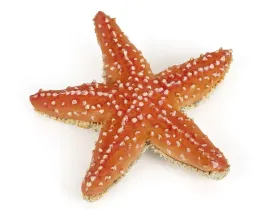 figurka-kolekcjonerska-rozgwiazda-papo