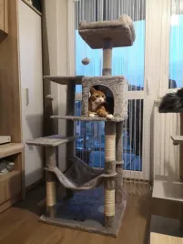 drapak-wysoki-legowisko-slupek-do-drapania-wieza-feandrea-101-160-cm