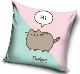 poduszka-mlodziezowa-40x40-pusheen-kotek-velvet