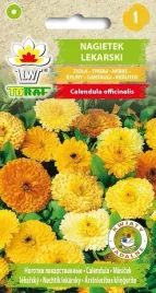 nagietek-lekarski-leczniczy-dekoracyjny-ziola-nagietki-uspokajajacy-zapach