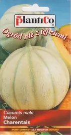 melon-charentais-bardzo-smaczny-jasne-melony-pomaranczowy-miazsz-witaminy