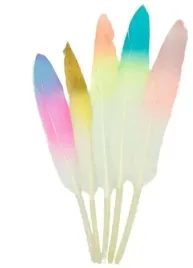 piorka-piora-mix-ozdobne-dekoracyjne-lotki-ombre