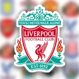 zestaw-40-naklejek-20x85cm-herb-pilkarskie-pilka-nozna-football-liverpool