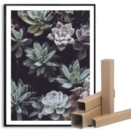 plakat-obraz-duzy-50x70cm-dekoracyjny-sukulenty-rosliny-kaktus-wiele-wzorow