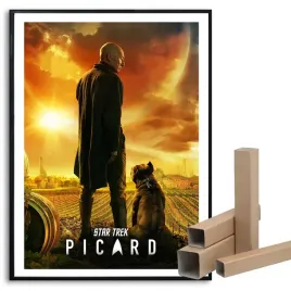 plakat-297x42cm-picard-serial-topowe-wiele-wzorow
