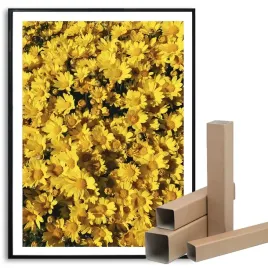plakat-obraz-duzy-50x70cm-dekoracyjny-zolte-kwiaty-kwieciste-wiele-wzorow