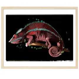 plakat-poziomy-obraz-21x297-cm-kameleon-wzory