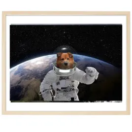 plakat-poziomy-21x297-cm-astronauta-pies-wzory
