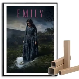 plakat-filmowy-a3-297x42-cm-emily-topowe-wzory