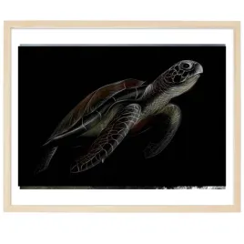 plakat-poziomy-obraz-21x297cm-zolw-natura-wzory