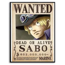 plakat-a3-297x42cm-one-piece-sabo-anime-top-wzory