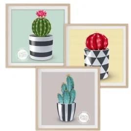 zestaw-3-plakaty-60x60cm-xxl-kaktus-plants-roslina