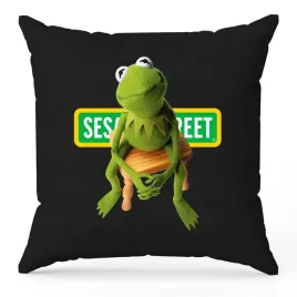 poduszka-dekoracyjna-ulica-sezamkowa-kermit-wzory