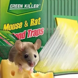 5-x-myszolapka-lep-lapka-pulapka-na-myszy-szczury-duza
