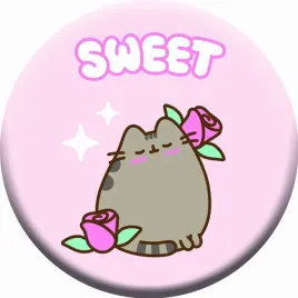 poduszka-dekoracyjna-ksztaltka-pusheen-kotek-oryginalna-przytulanka