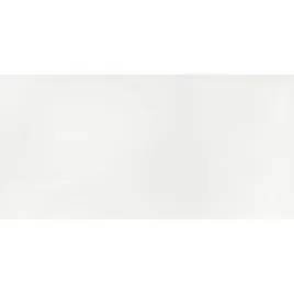 tanigres-plytka-scienna-bala-satyna-60-x-30-cm-biel-gat1
