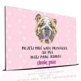 tabliczka-rozowy-22x15cm-buldog-angielski-psa-masz-tylko-jednego-perso-imie