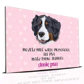 tabliczka-rozowy-22x15cm-bernenczyk-masz-tylko-jednego-personalizacja-imie
