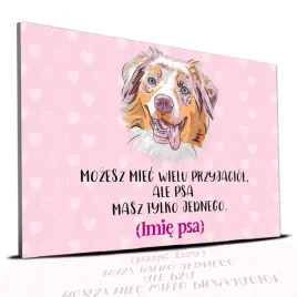 tabliczka-rozowy-22x15cm-border-collie-psa-masz-tylko-jednego-perso-imie