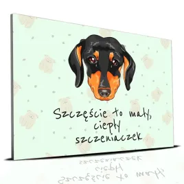 tabliczka-zielony-22x15cm-jamnik-szczescie-to-maly-cieply-szczeniaczek-wz