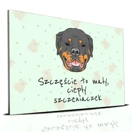 tabliczka-zielony-22x15cm-rottweiler-to-maly-cieply-szczeniaczek-mix-wzorow