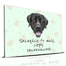 tabliczka-zielony-22x15cm-labrador-szczescie-to-maly-cieply-szczeniaczek-wz