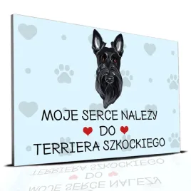 tabliczka-pcv-niebieski-22x15cm-moje-serce-nalezy-do-terrier-szkocki-wzory