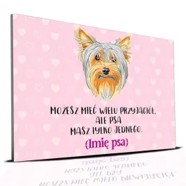 tabliczka-rozowy-22x15cm-york-psa-masz-tylko-jednego-personalizacja-imie
