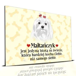 tabliczka-zolty-22x15cm-maltanczyk-jest-jedyna-istota-ktora-cie-kocha-wz