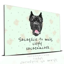 tabliczka-zielony-22x15cm-cane-corso-to-maly-cieply-szczeniaczek-mix-wzorow