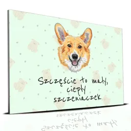 tabliczka-zielony-22x15cm-corgi-szczescie-to-maly-cieply-szczeniaczek-wzory
